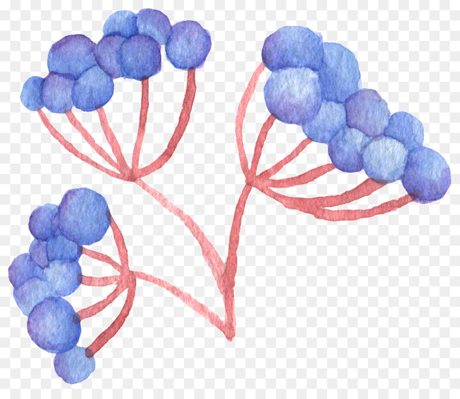 Peinture à L'aquarelle，Fruits PNG