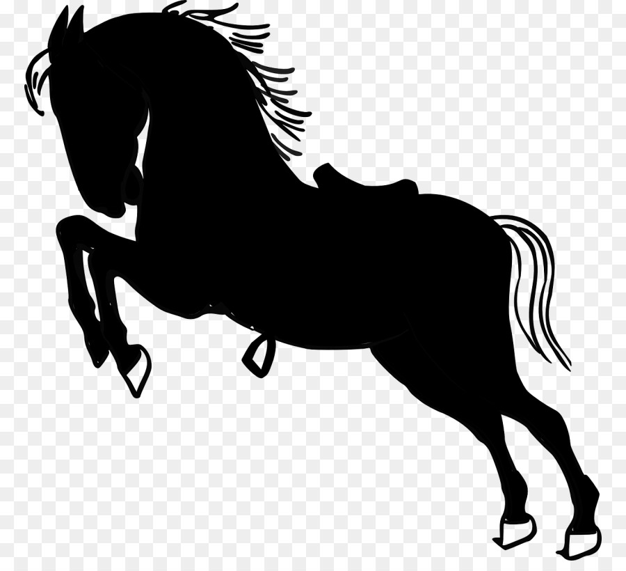 Cheval，Silhouette PNG