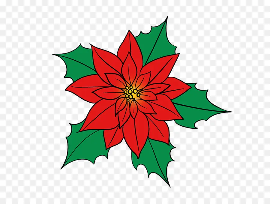 Poinsettia，Rouge PNG