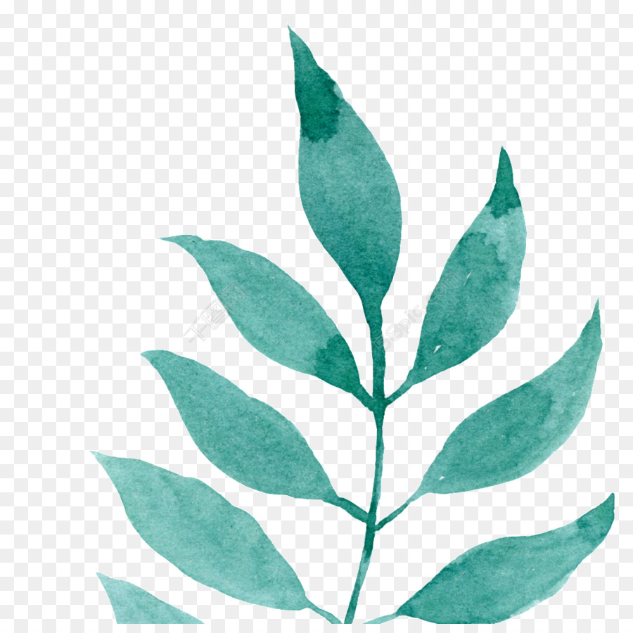 Feuilles Vertes，Feuillage PNG