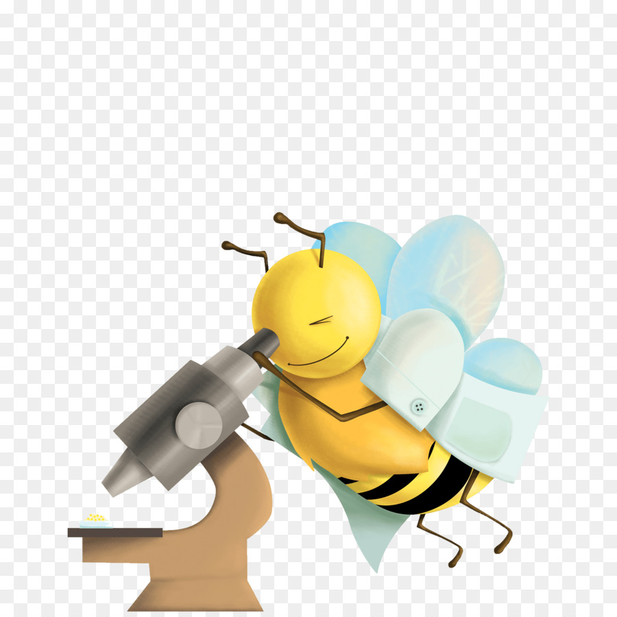 Abeille，Polytechnique De Milan PNG