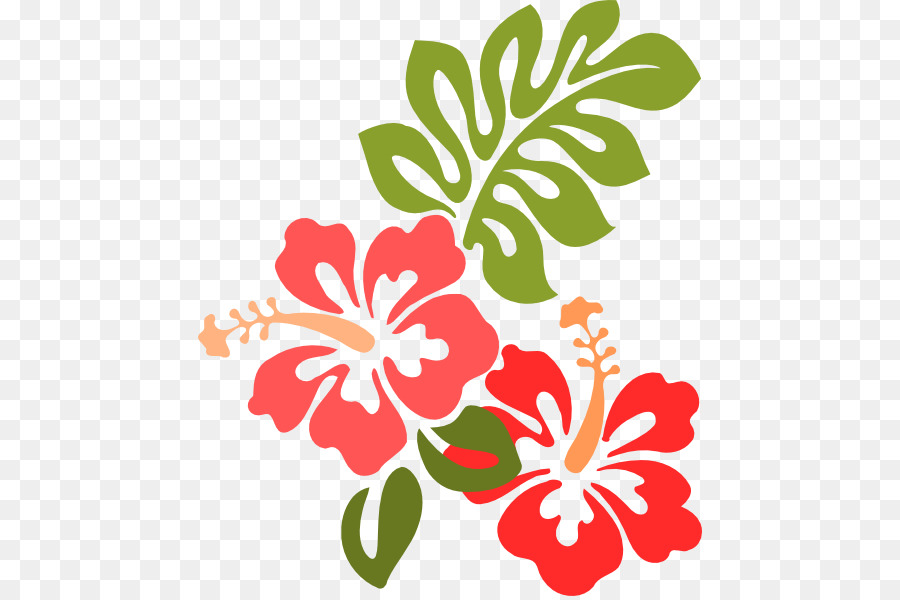 Fleur D'hibiscus，Usine PNG