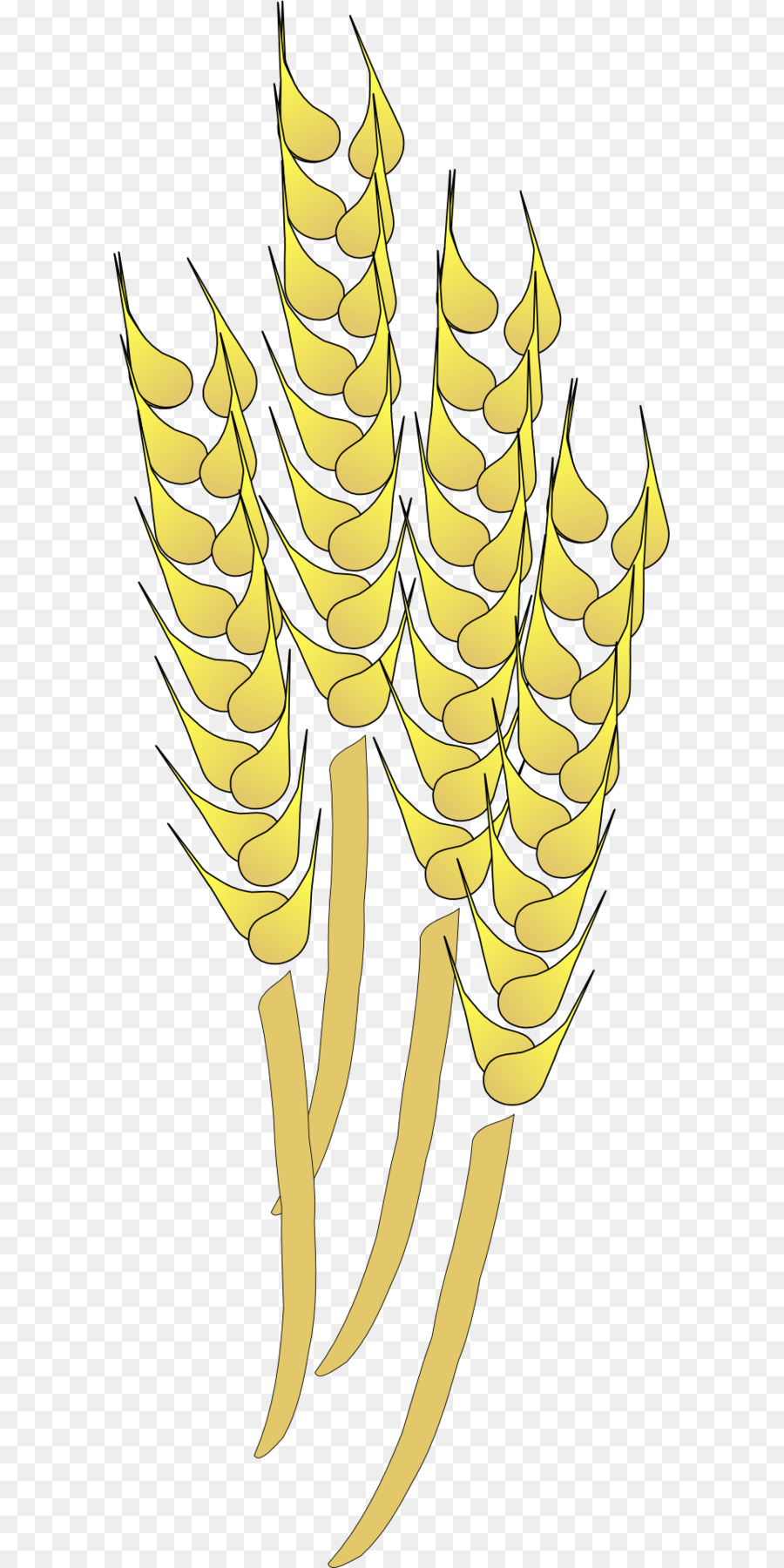 Blé，Grain PNG