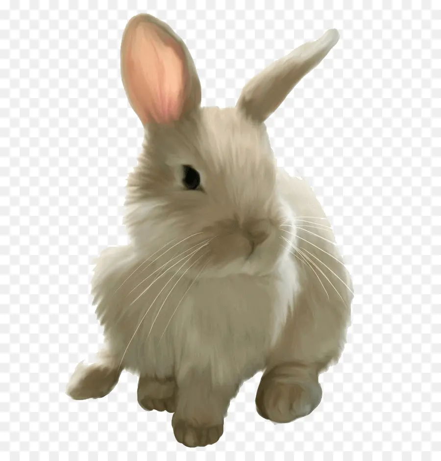 Lapin Mignon，Oreilles PNG