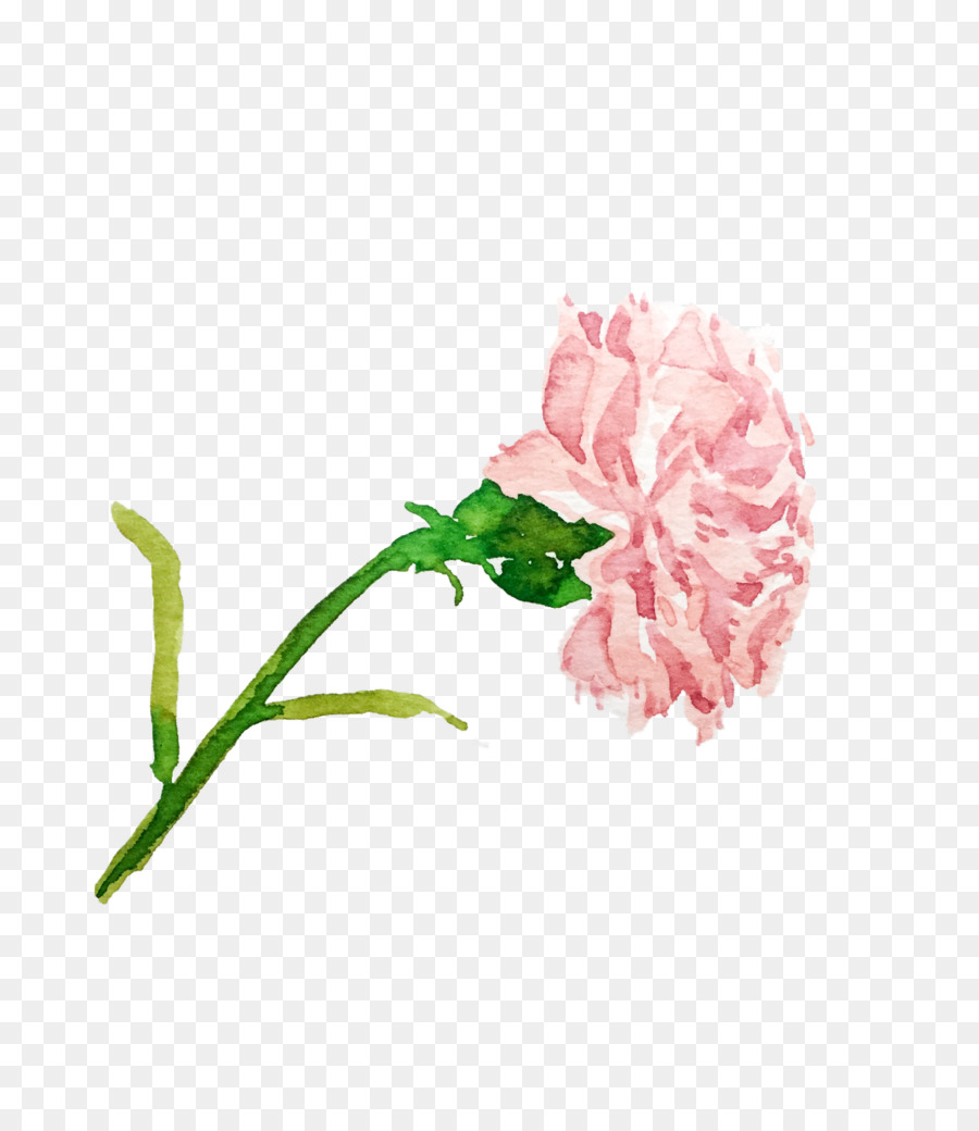 Les Roses De Jardin，Fleur PNG