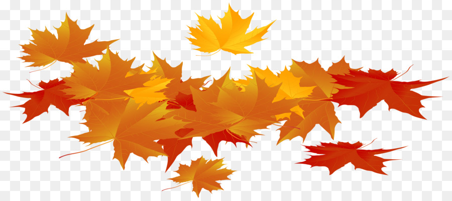 Feuilles D'automne，Automne PNG