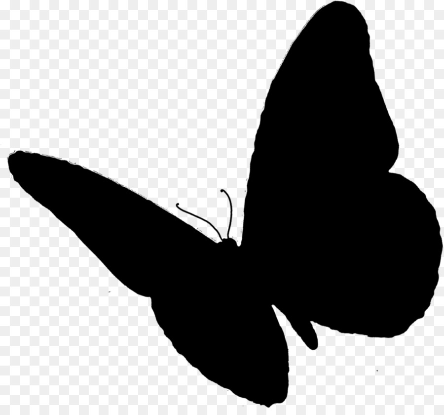 Silhouette De Papillon，Insecte PNG