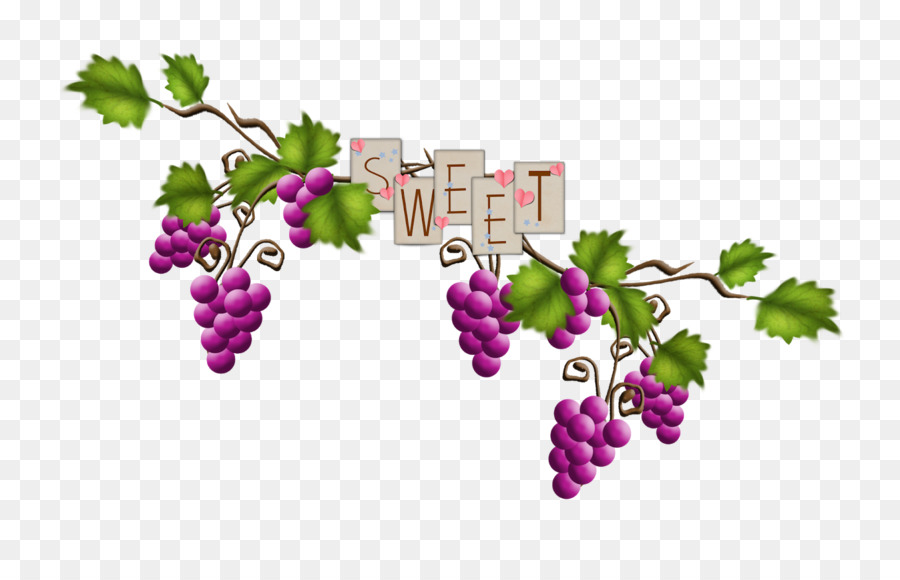 Raisin，Fruits PNG