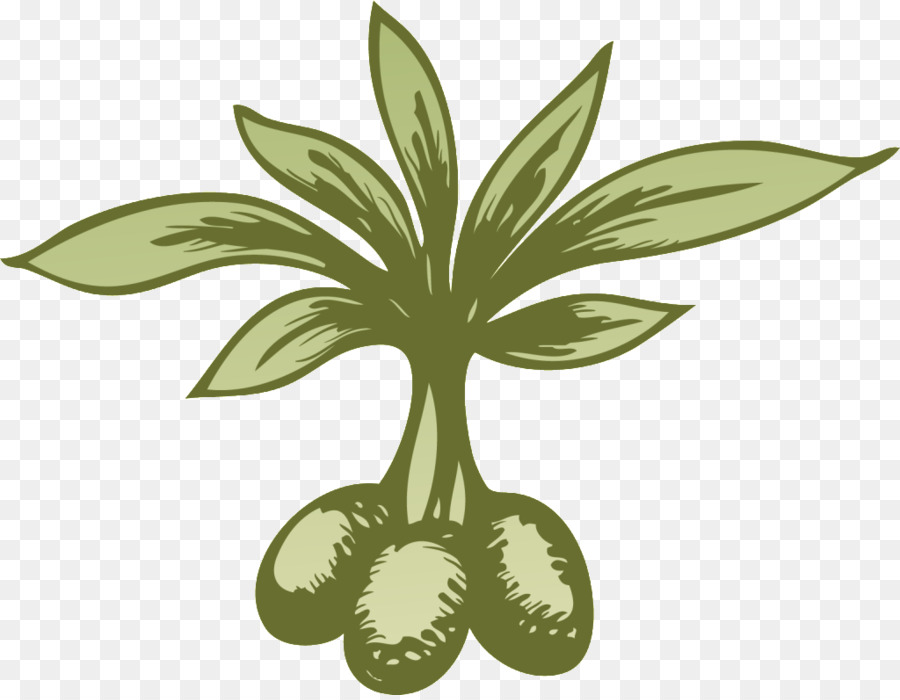 Feuille，Fleur PNG