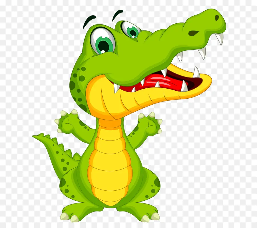 Crocodile，Reptile PNG