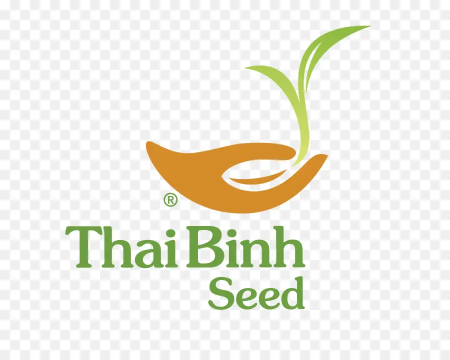 Logo De Graine De Thai Binh，Logo PNG