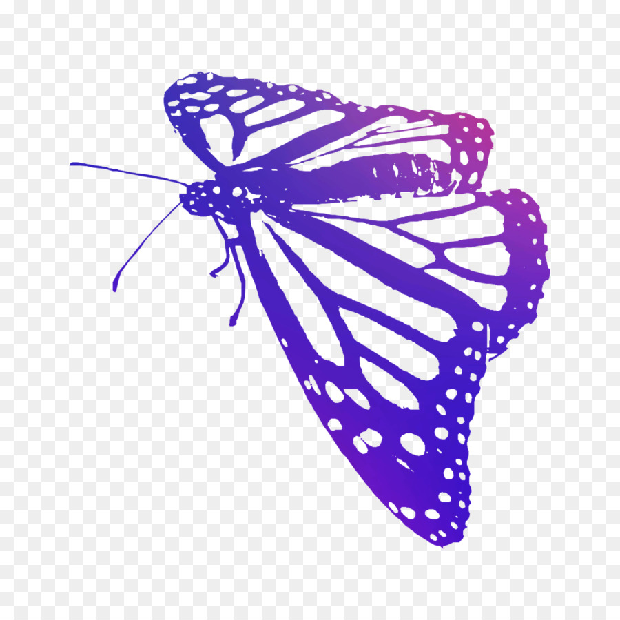 Aile De Papillon Bleu，Aile PNG