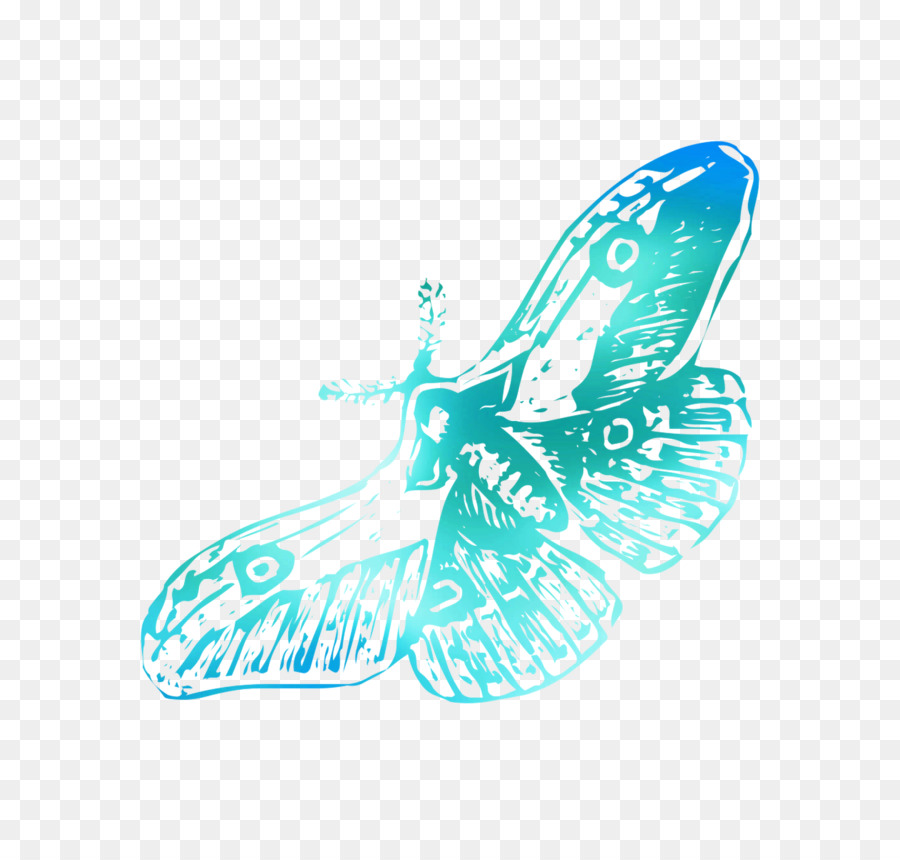 Papillon，Chaussure PNG