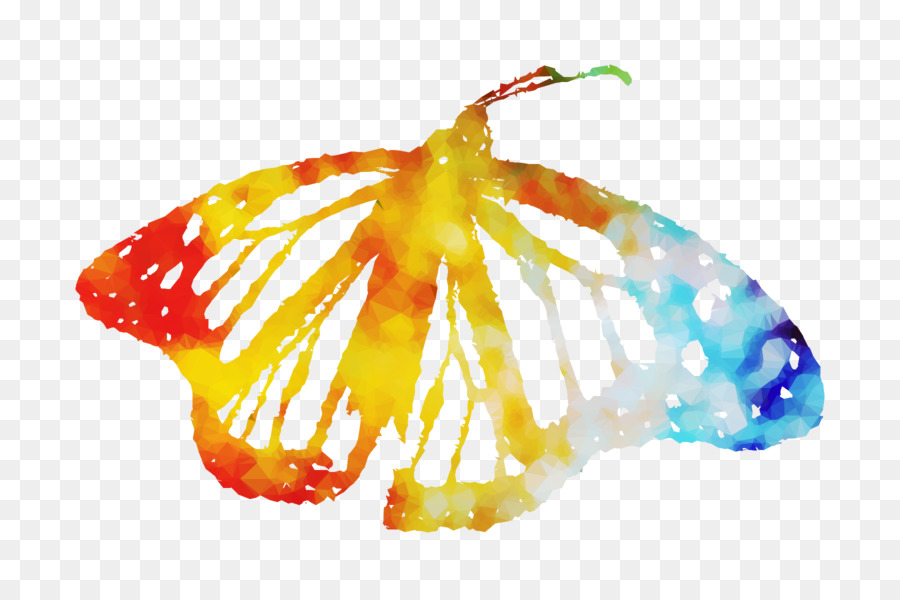 M Papillon，Orange Sa PNG