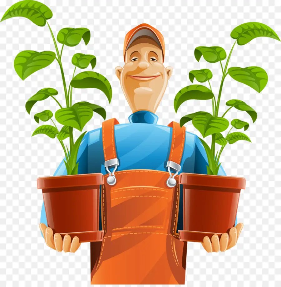 Jardinier Avec Des Plantes，Plantes PNG