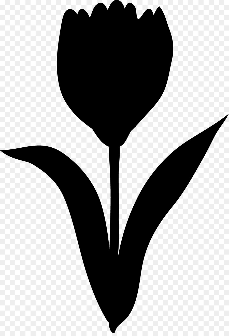 Fleur Noire，Usine PNG