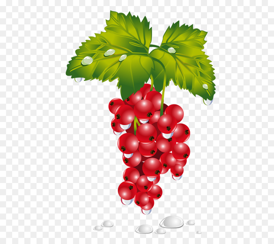 Raisins Rouges，Bouquet PNG