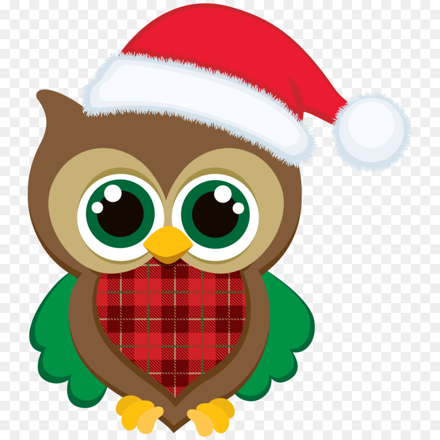 Chouette Avec Bonnet De Noel，Hibou PNG