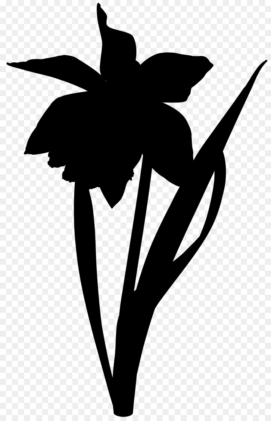 Fleurs Noires，Plantes PNG