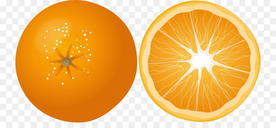 Orange，Le Mandarin Orange PNG