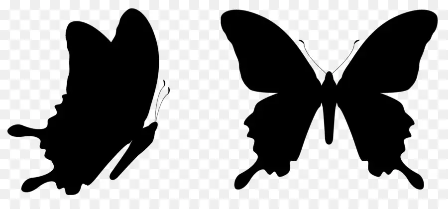 Silhouettes De Papillons，Insectes PNG