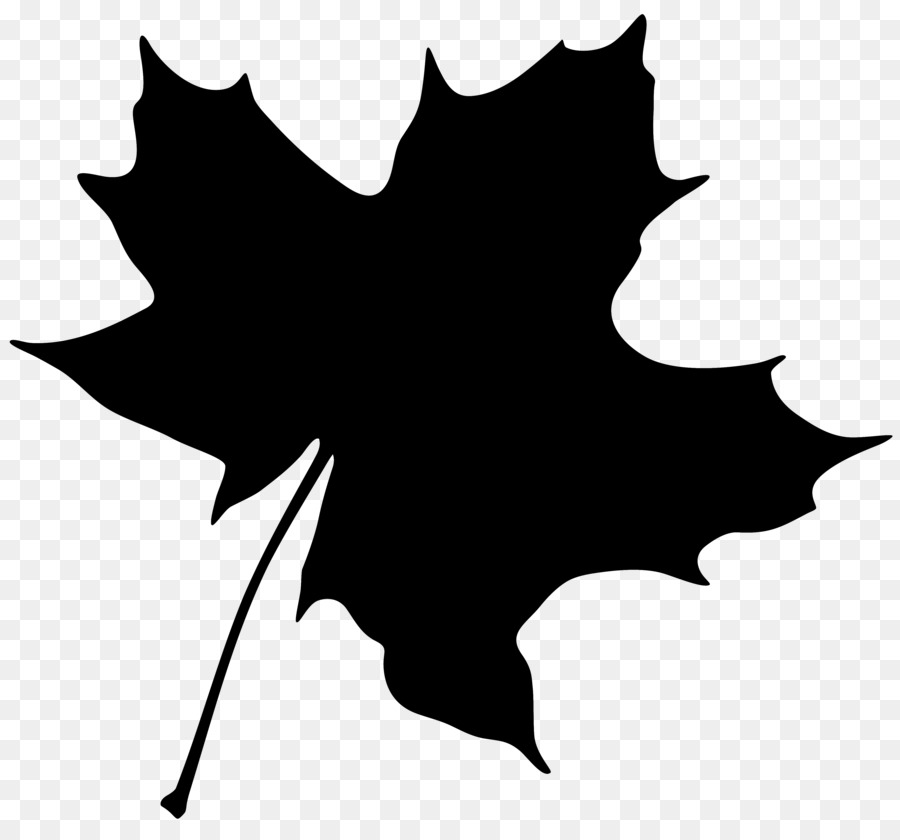 Feuilles D'automne，Feuillage PNG