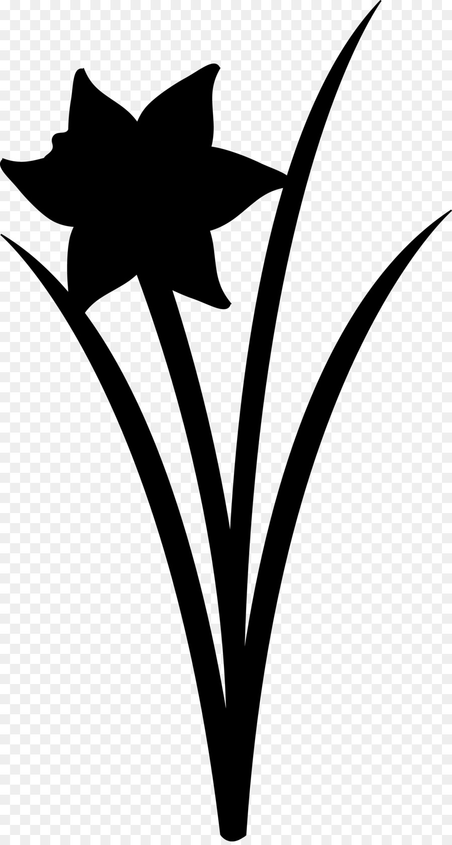 Fleurs Noires，Plantes PNG