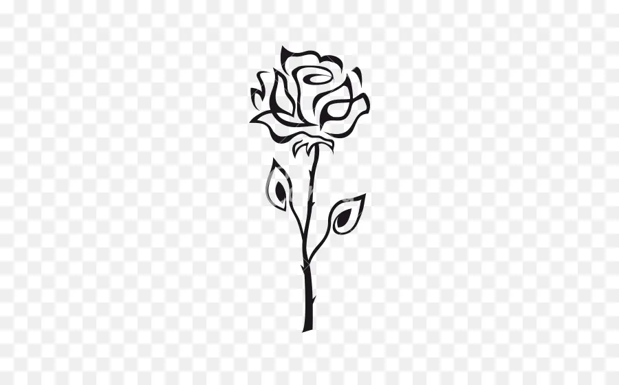 Rose，Fleur PNG