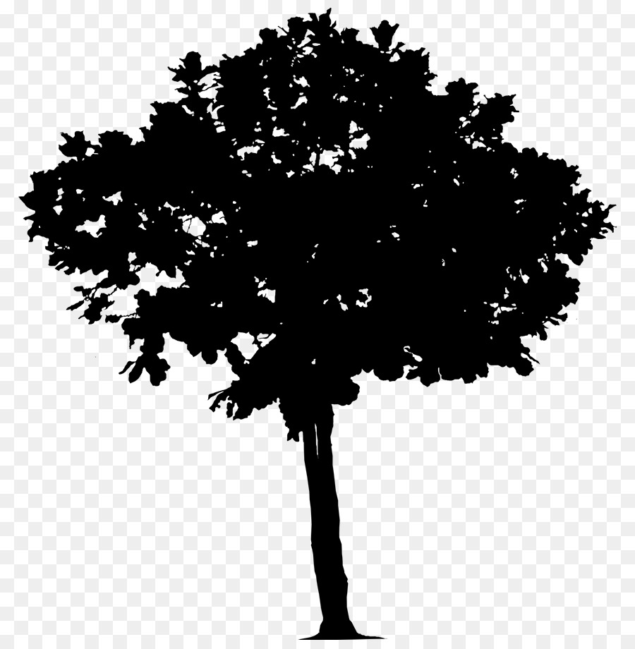 Arbre，Silhouette PNG