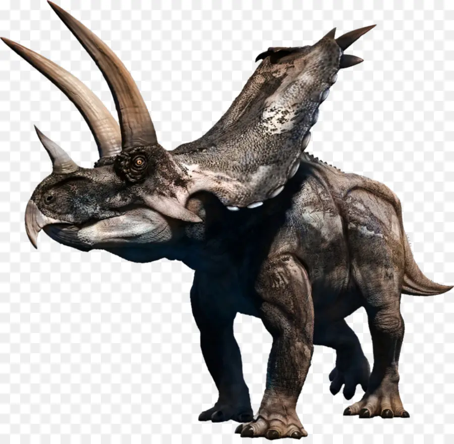 Agujaceratops，Tricératops PNG