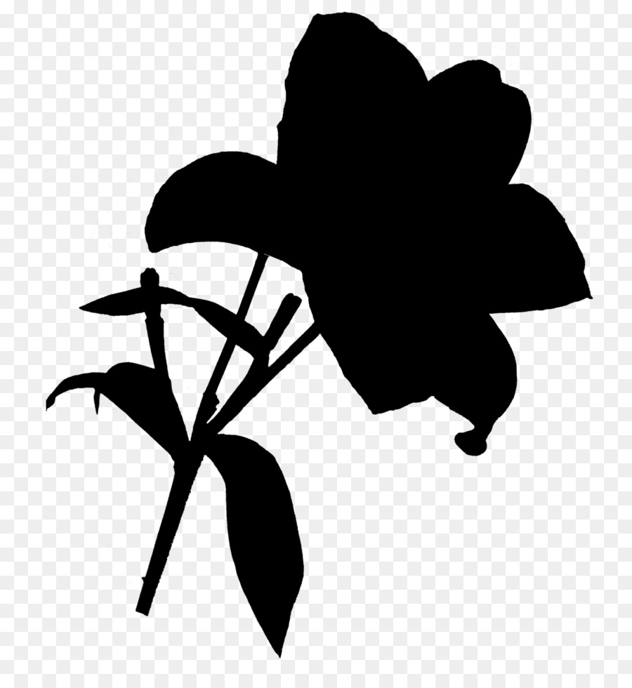 Silhouette De Plante，Feuilles PNG