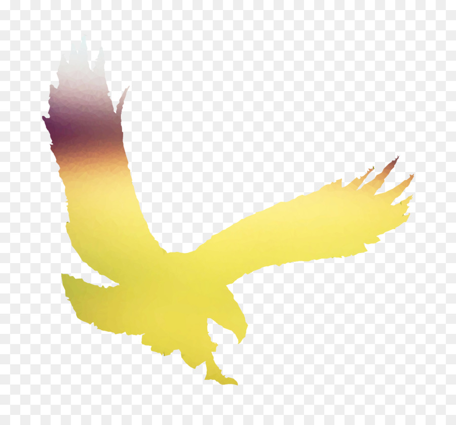 Oiseau Coloré，Vol PNG