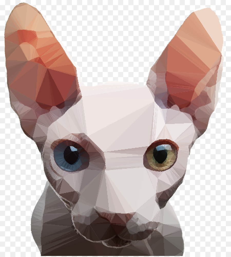 Illustration De Chat，Félin PNG