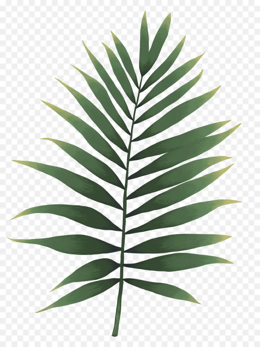 Feuille Verte，Nature PNG