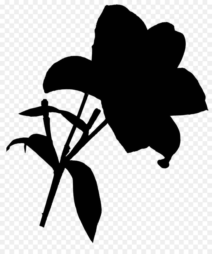 Silhouette De Plante，Feuilles PNG