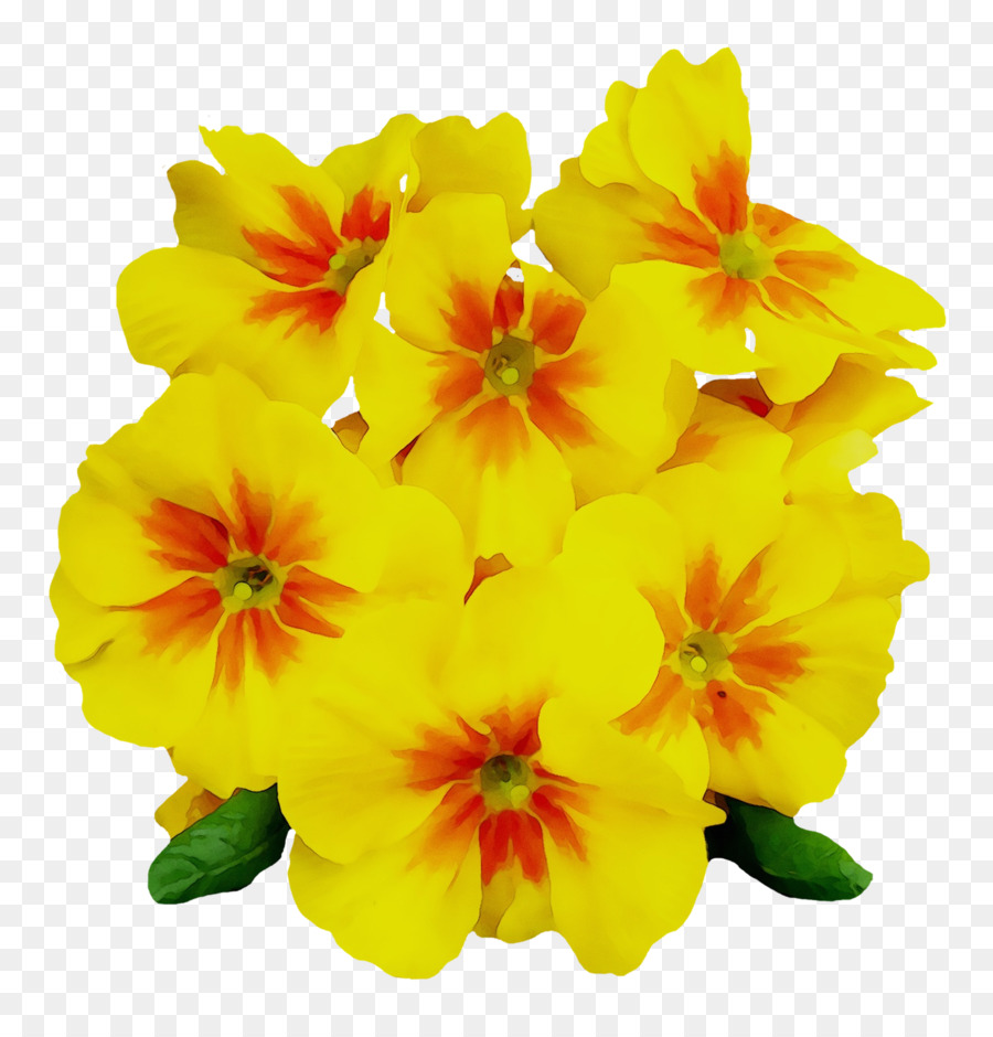 Fleurs Jaunes，Fleurir PNG