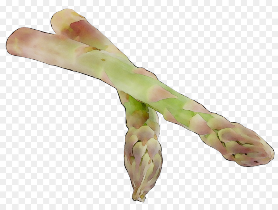 Doigt，Asperges PNG