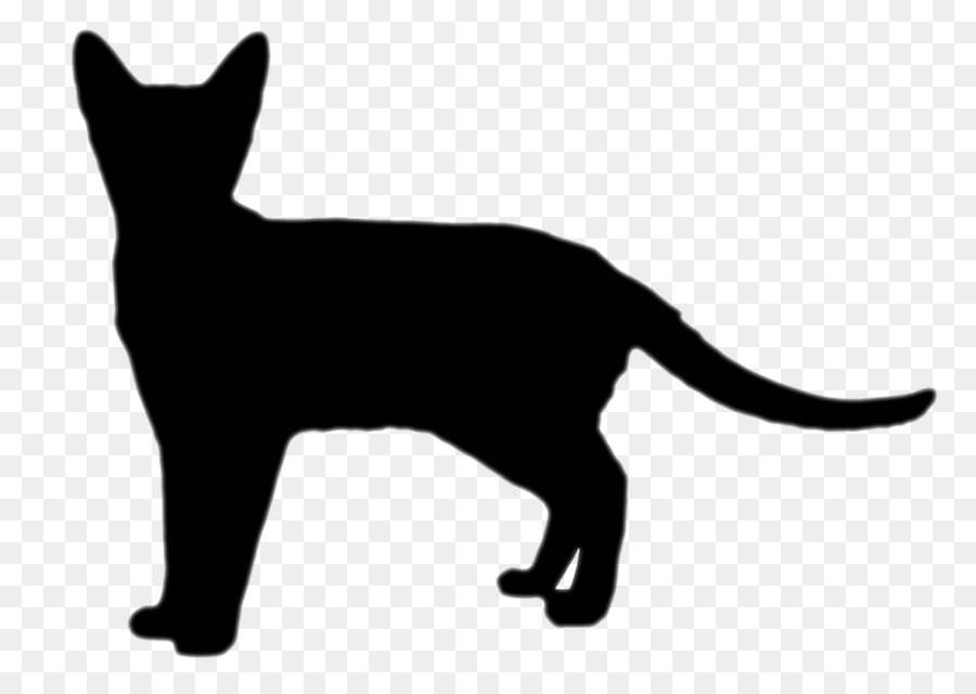 Chat，Animal De Compagnie PNG