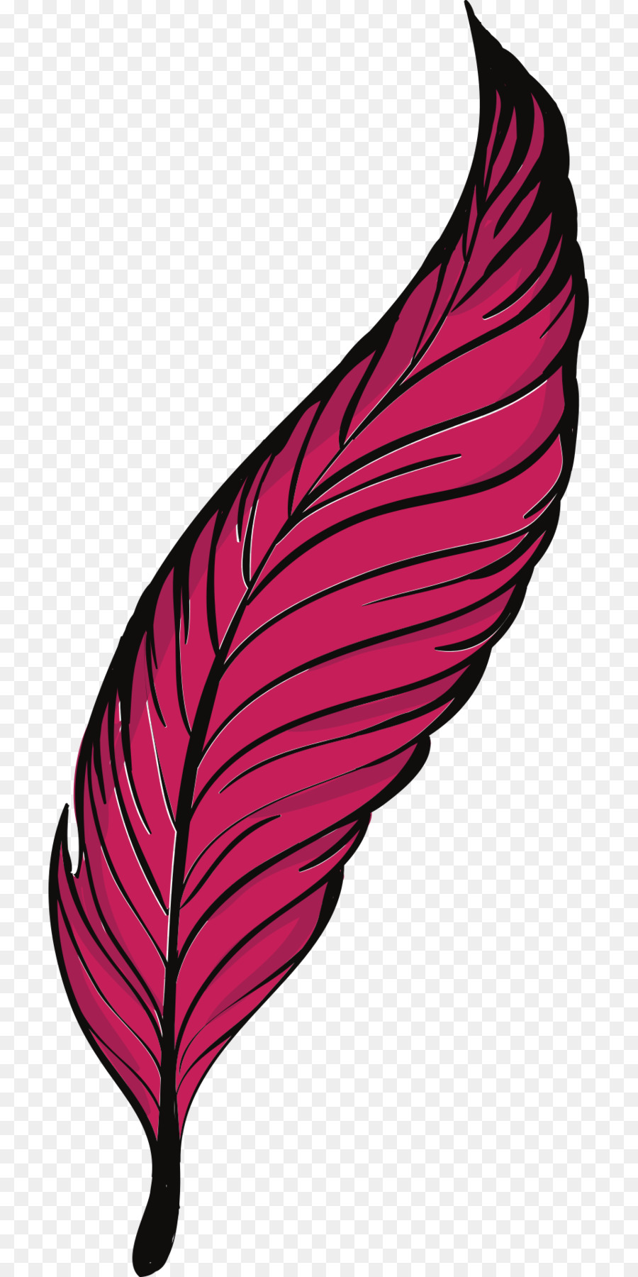 Plume Rose，Doux PNG