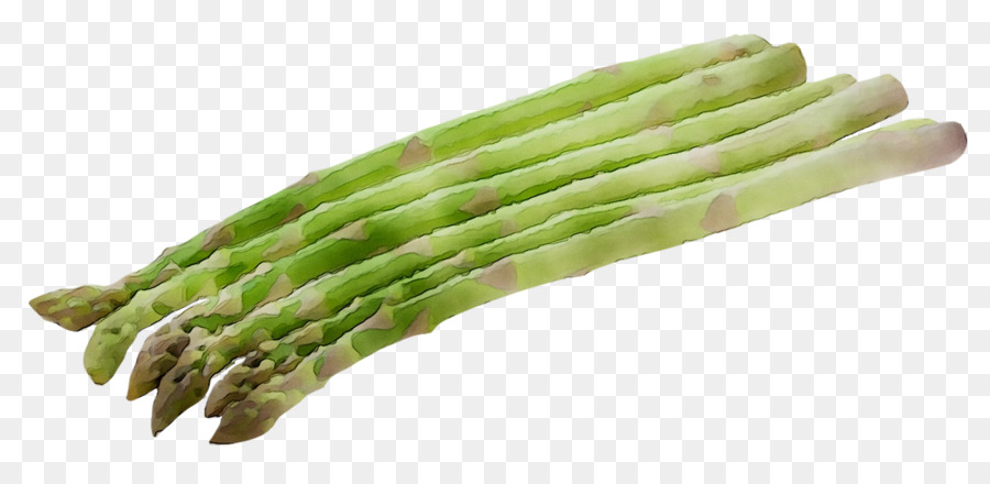 Asperge，Légume PNG