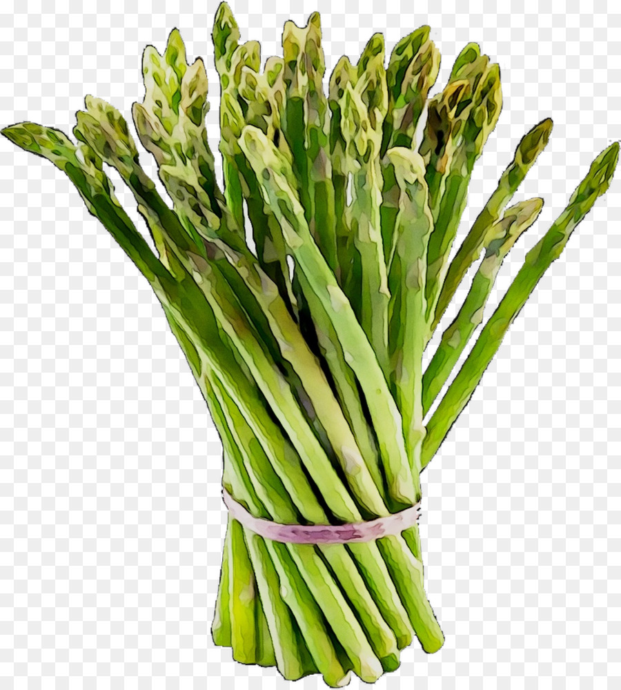 Asperges，Reed PNG