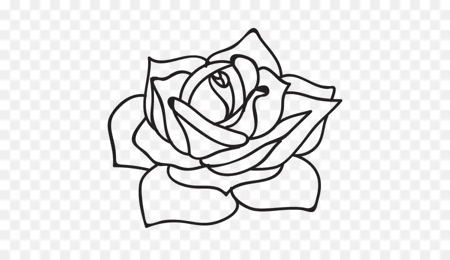 Rose，Dessin PNG