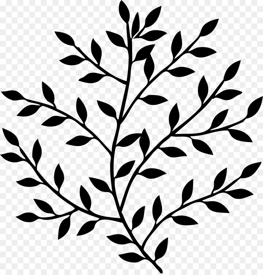 Plante Verte，Feuilles PNG