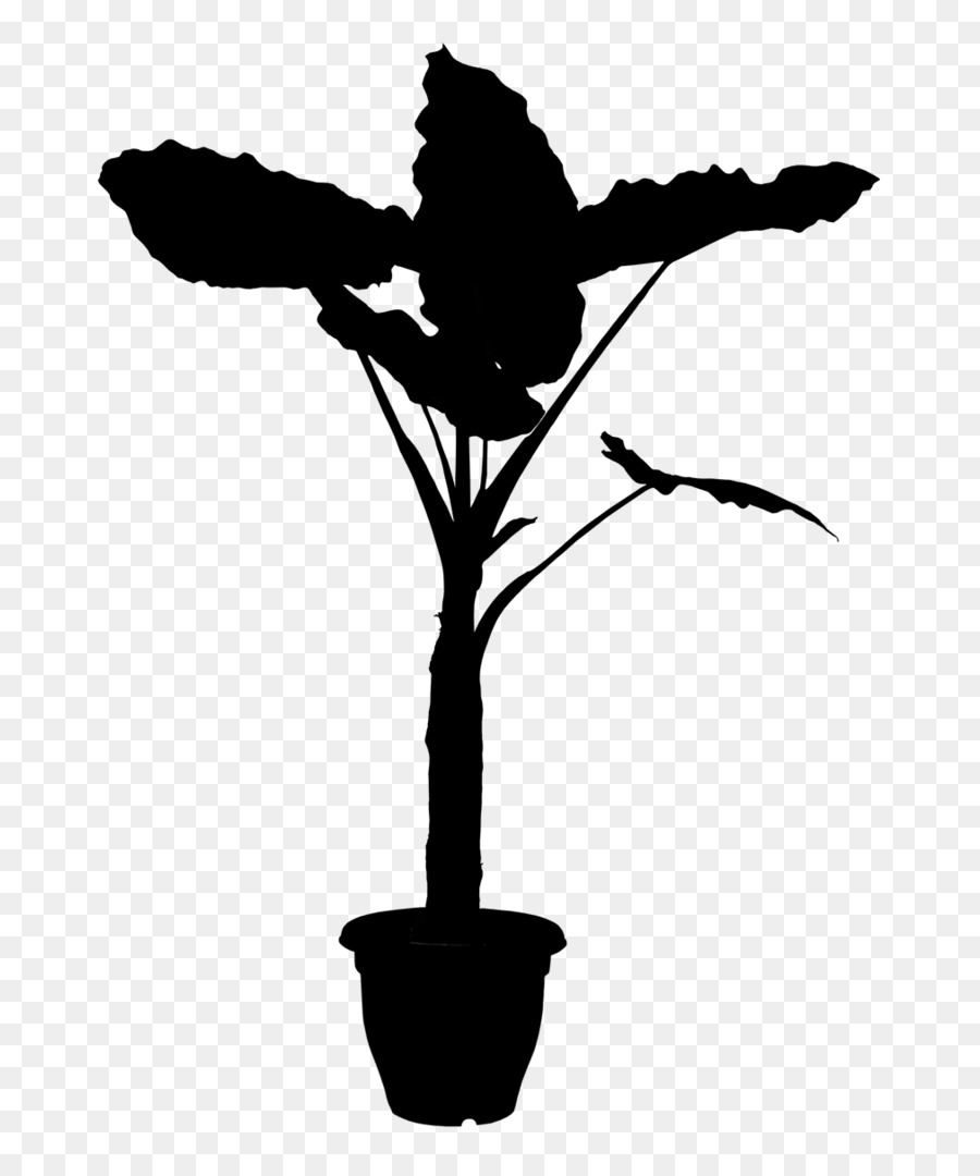 Les Plantes，Fleur PNG