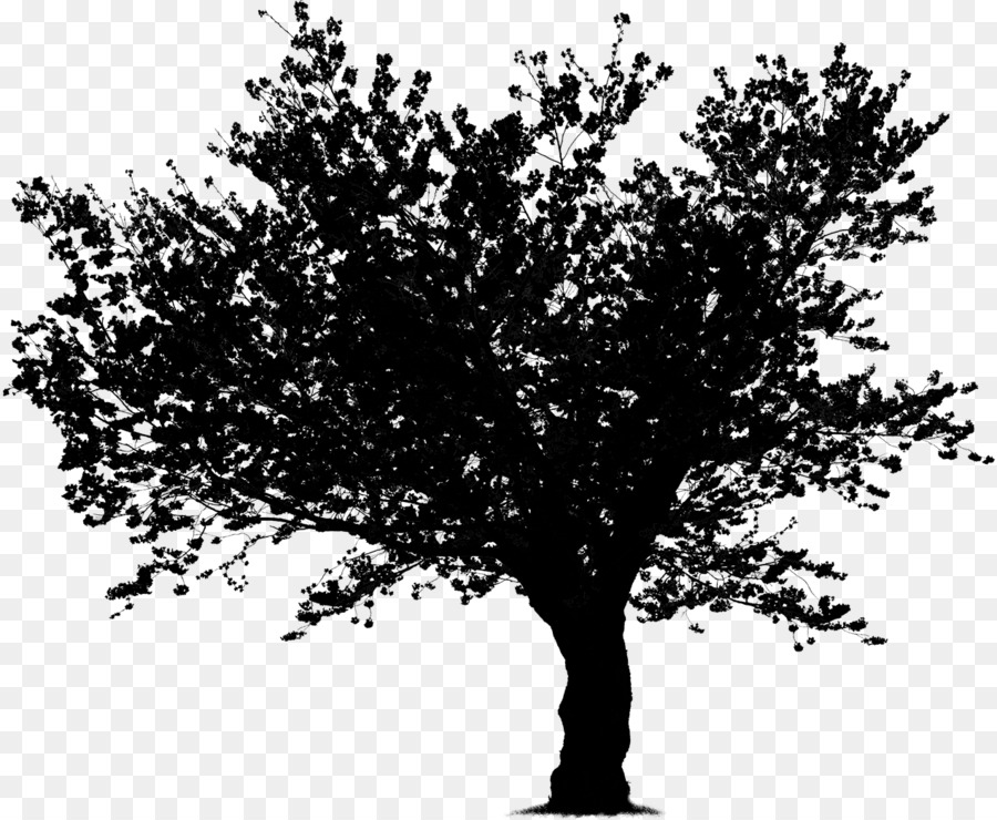 Arbre，Silhouette PNG