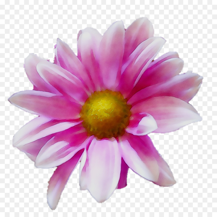 Fleur，Rouge PNG