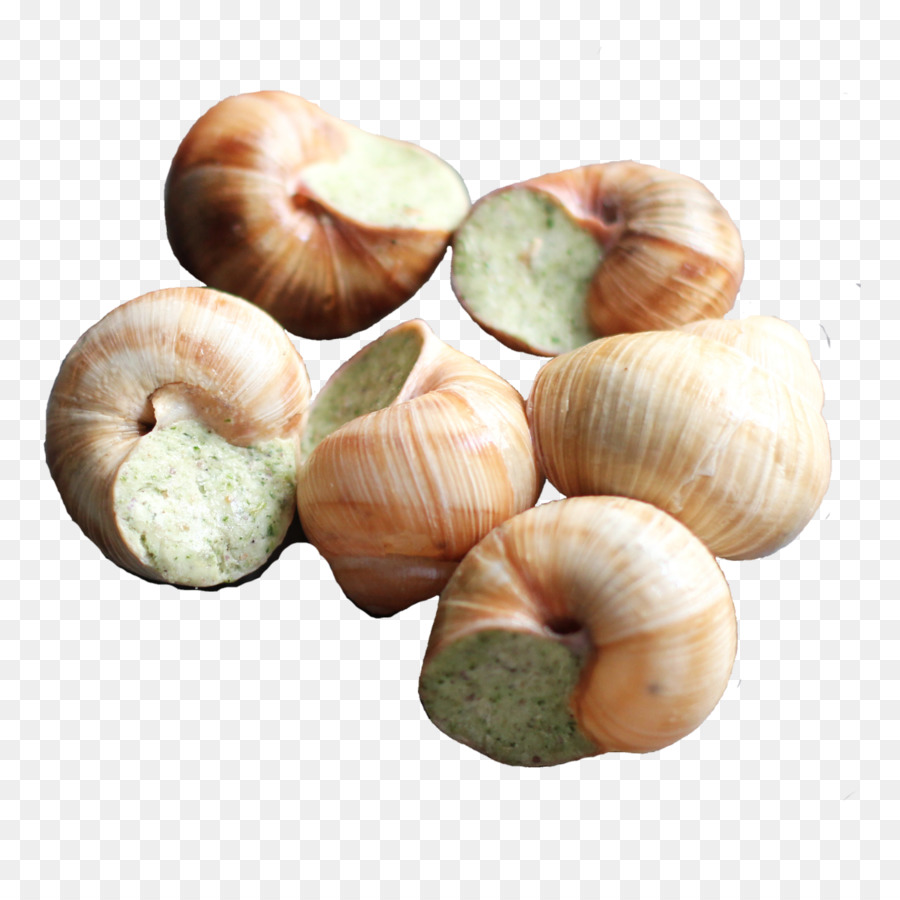 L'escargot，Lasagnes PNG