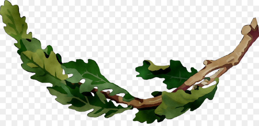 Branche De Chêne，Feuilles PNG