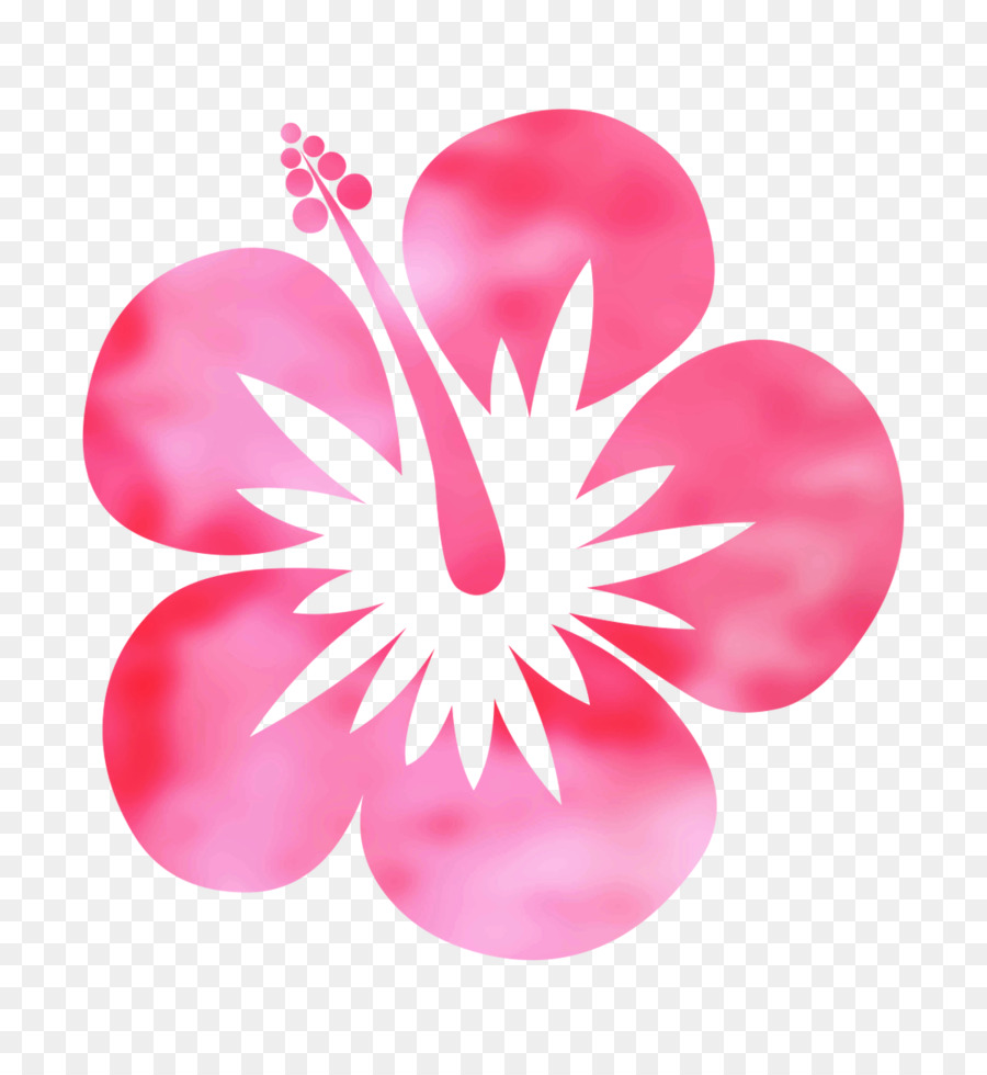 Fleur D'hibiscus，Rose PNG