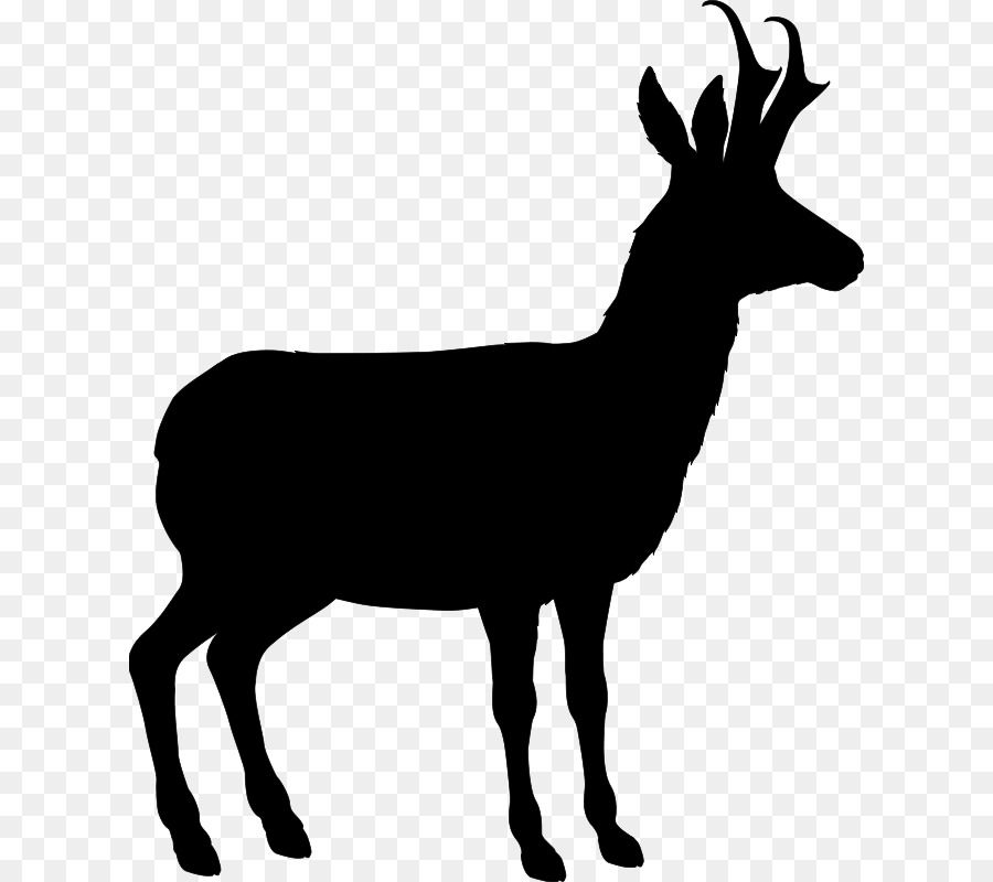 Antilope，Silhouette PNG